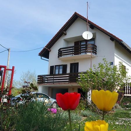 Apartment Ankica Selište Drežničko Extérieur photo