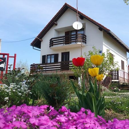 Apartment Ankica Selište Drežničko Extérieur photo