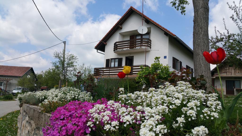 Apartment Ankica Selište Drežničko Extérieur photo