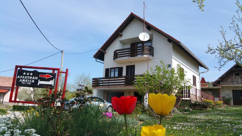 Apartment Ankica Selište Drežničko Extérieur photo